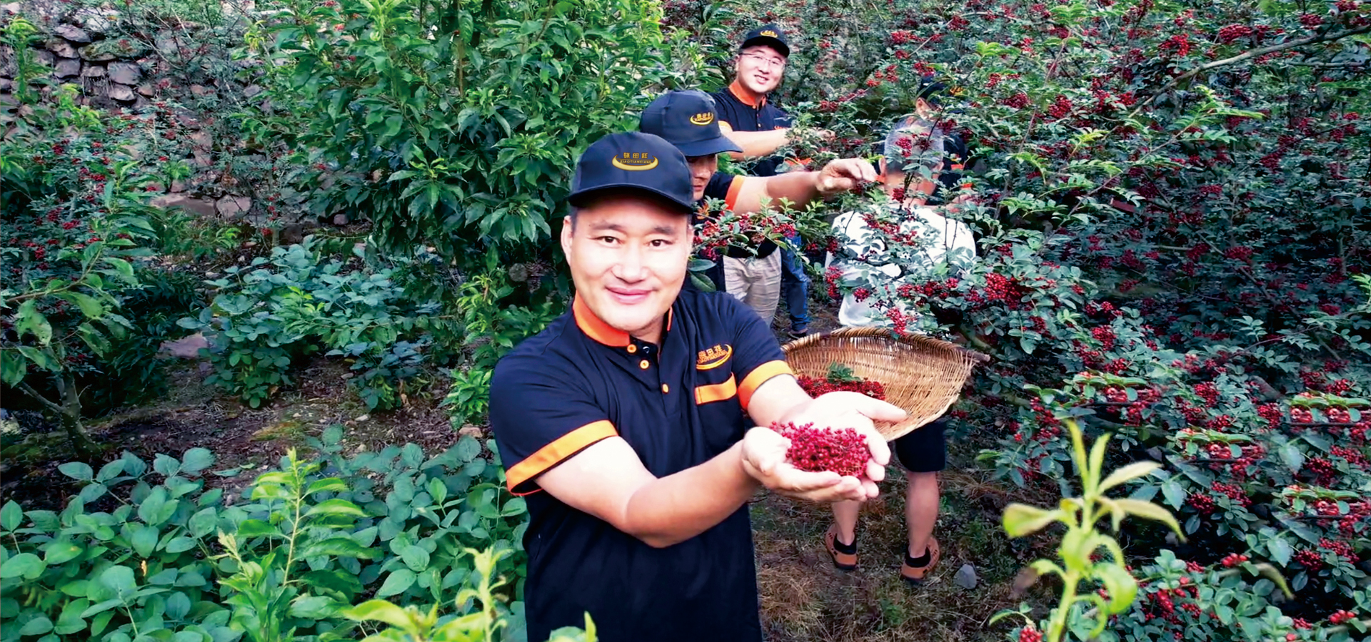 银河浏览器Galaxy