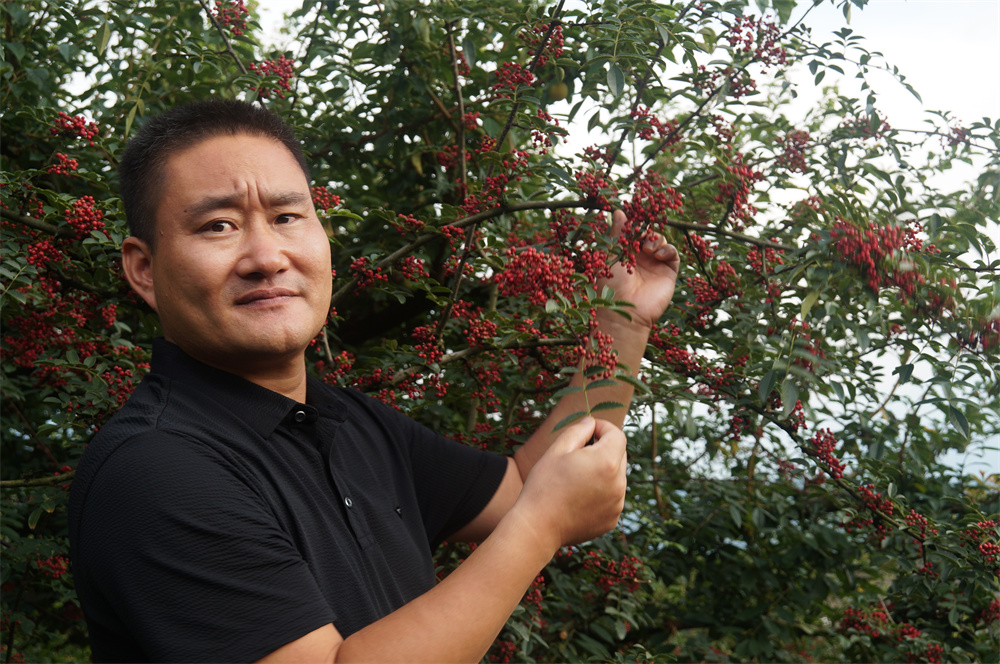 银河浏览器Galaxy2022大事记